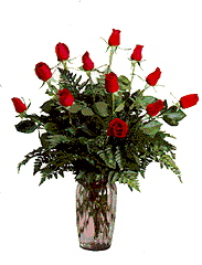 Red Roses!